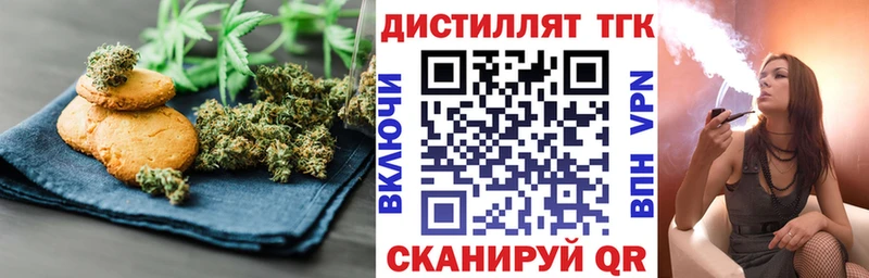 Купить закладки  Светогорск  Cannafood конопля 