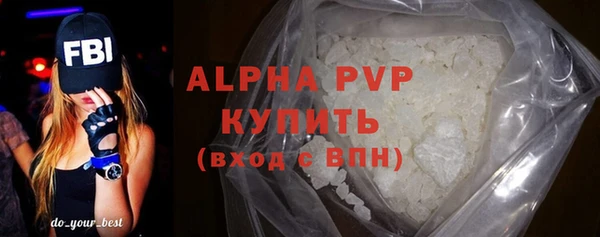 индика Алексин