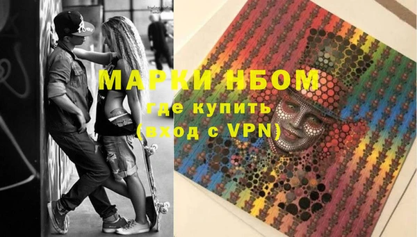 индика Алексин