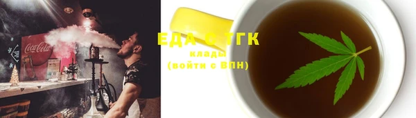 индика Алексин