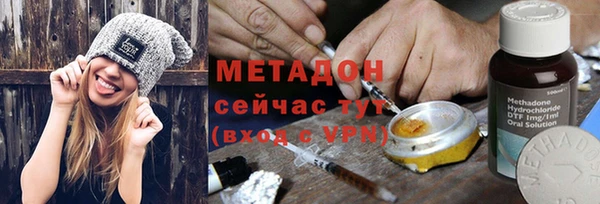 индика Алексин